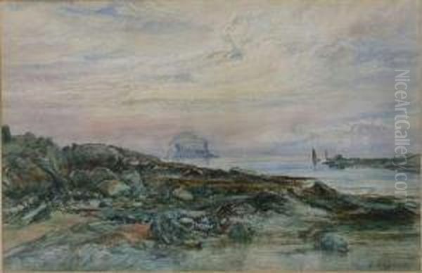 View Of The Bass Rock Oil Painting by Alexander Ballingall