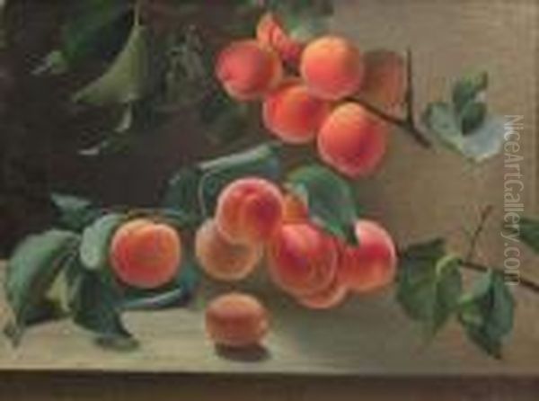 Nature Morte Aux Peches Oil Painting by Carl Vilhelm Balsgaard