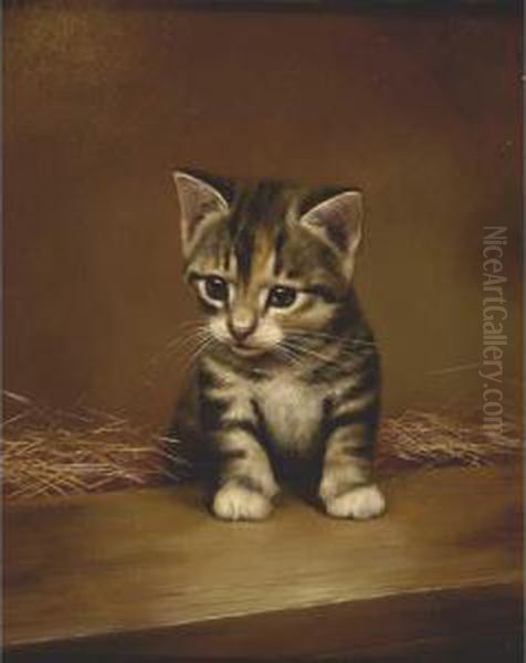 Grey And White Kitten Just Observing Oil Painting by Bessie, Betsie Bamber