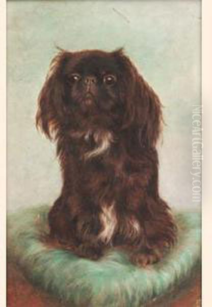 A Pekingese Oil Painting by Bessie, Betsie Bamber