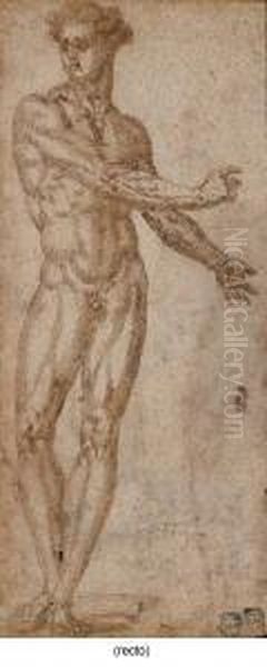 Study Of A Male Nude Oil Painting by Baccio Bandinelli