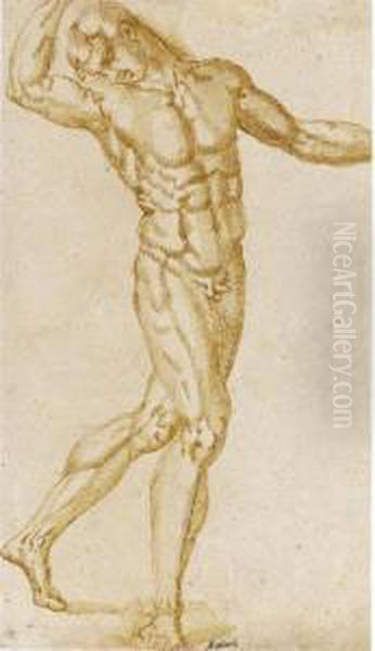 A Standing Male Figure Oil Painting by Baccio Bandinelli