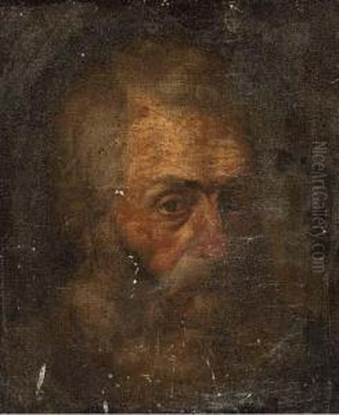 Head Of A Bearded Man Oil Painting by Baccio Bandinelli