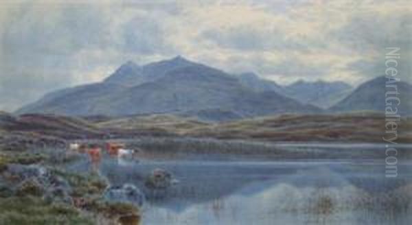 Highland Cattle Crossing A Loch Oil Painting by John James Bannatyne