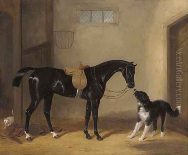 Portrait of a saddle black hunter with a sheep dog in a stable Oil Painting by William Barraud