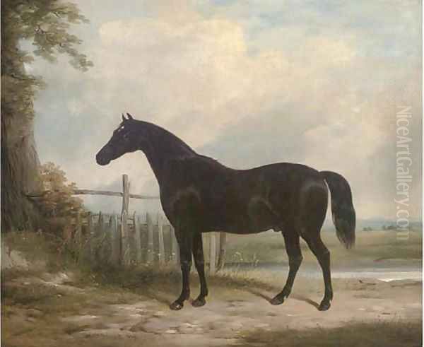 Plato, the property of the Marquess of Hastings Oil Painting by William Barraud