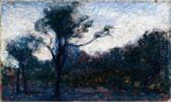 Alberi Oil Painting by Angelo Barabino