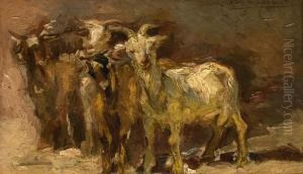 Cabras Oil Painting by Mariano Barbasan Lagueruela