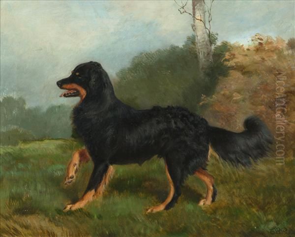 Sharp,
Brother Of Fern, A Collie Dog Oil Painting by Charles Burton Barber