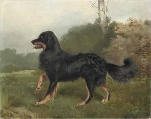 Sharp, Brother Of Fern, A Collie Dog Oil Painting by Charles Burton Barber