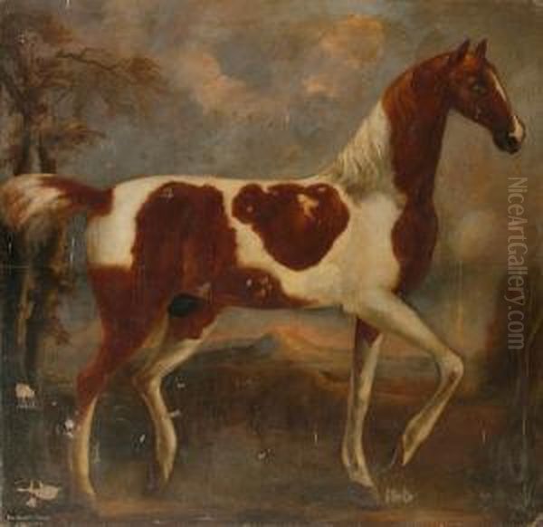 A Portrait Of Ned Baldry's Shell Horse Oil Painting by Thomas Bardwell