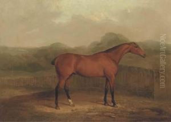 A Chestnut Racehorse In A Landscape Oil Painting by James Barenger