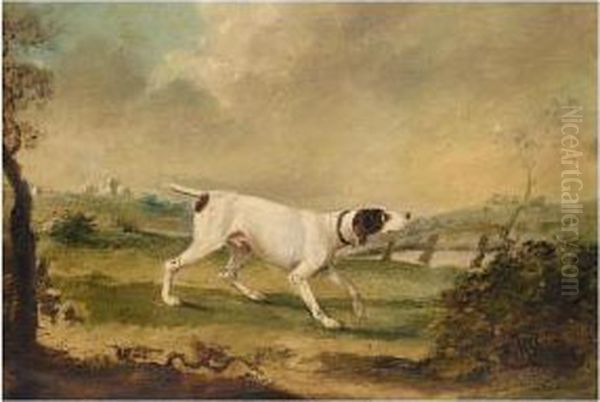 A Spaniel; A Pointer Oil Painting by James Barenger