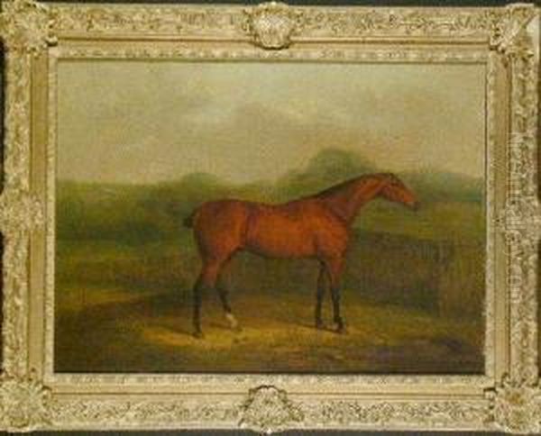 Race Horse Standing Before A Fence Oil Painting by James Barenger