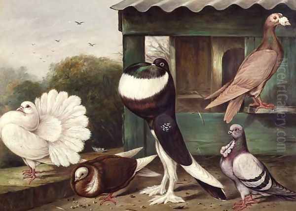 Pouter Pigeons Oil Painting by James E. Bourhill