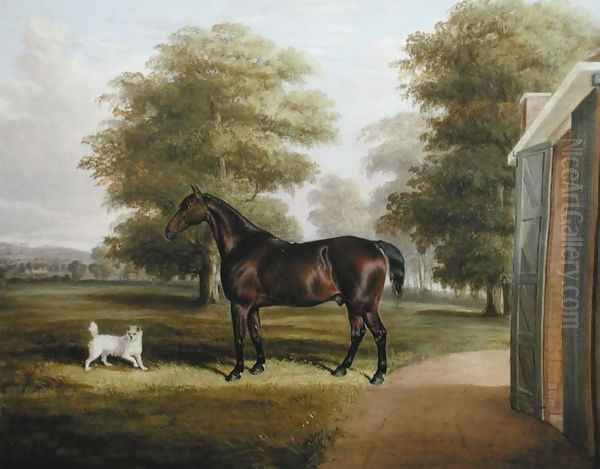 A Bay Horse with a Terrier 1845 Oil Painting by Thomas W. Bretland