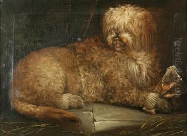 Curly White Dog With His Dinner Oil Painting by John Barker