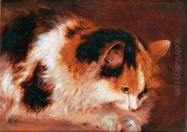 A Favourite Cat Oil Painting by Benjamin Barker Of Bath