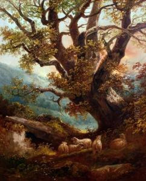 Sheep Resting Beneath An Oak Tree Oil Painting by John Joseph Barker Of Bath