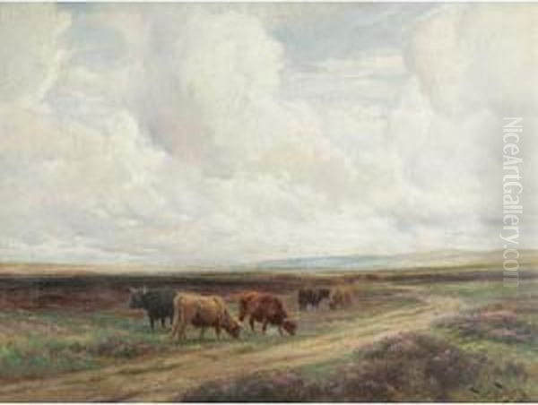 Highland Cattle In A Meadow Oil Painting by Wright Barker