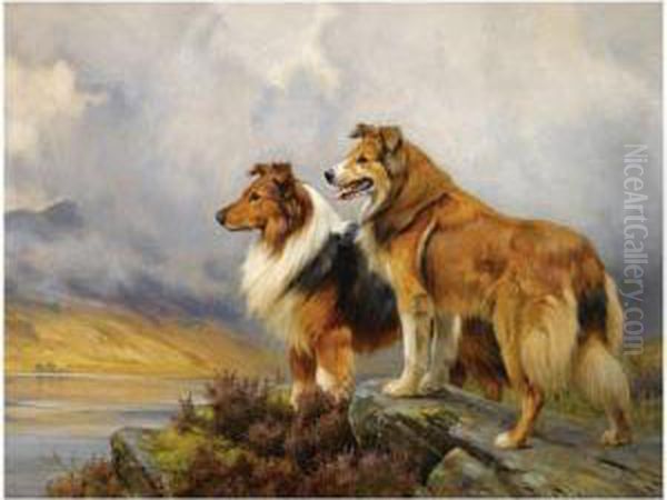 Two Collies Above A Lake Oil Painting by Wright Barker