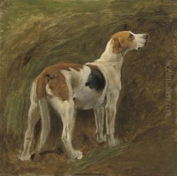 A Favourite Hound, J. Gwen Oil Painting by Wright Barker