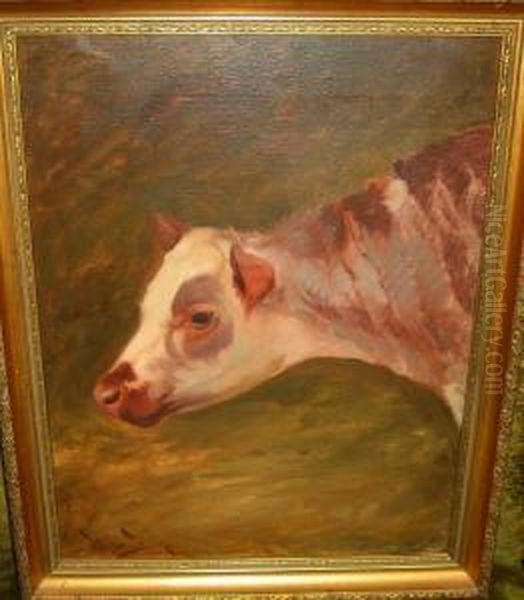 Study Of A Calf Oil Painting by Wright Barker