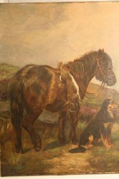 'horse Standing On Moorland W Oil Painting by Wright Barker