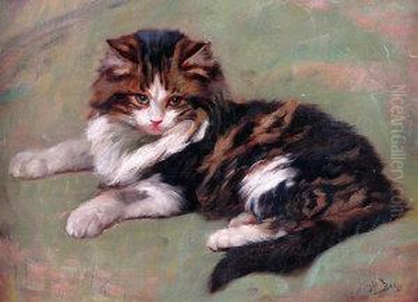 Study Of A Cat Oil Painting by Wright Barker