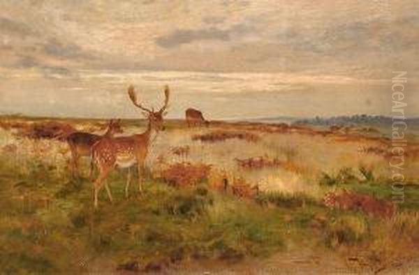 Deer In A Landscape. Oil Painting by Wright Barker