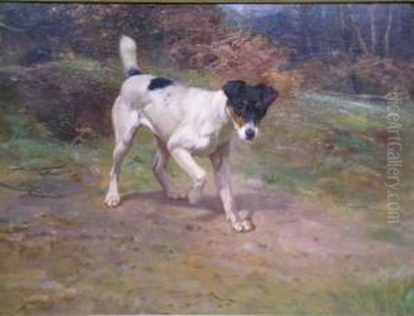 Smooth Fox Terrier At The Edge Of A Wood Oil Painting by Wright Barker