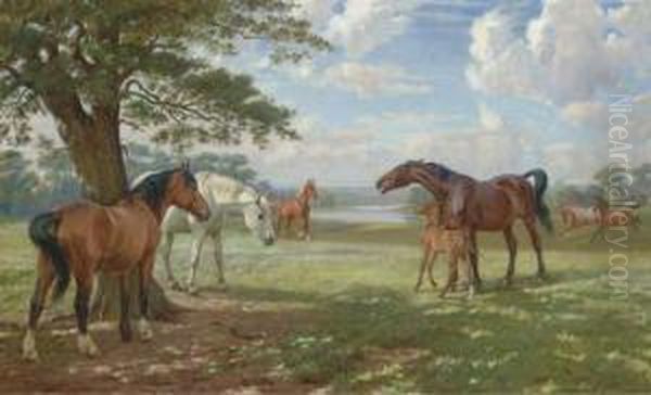 Mares With A Foal In Parkland Oil Painting by Wright Barker