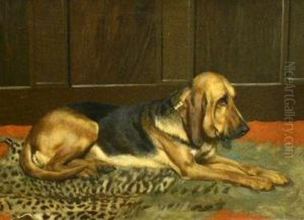 Bloodhound In An Interior Oil Painting by Wright Barker