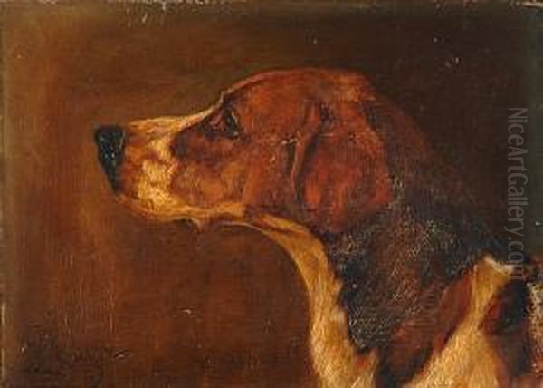 Guardsman - A Foxhound Oil Painting by Wright Barker