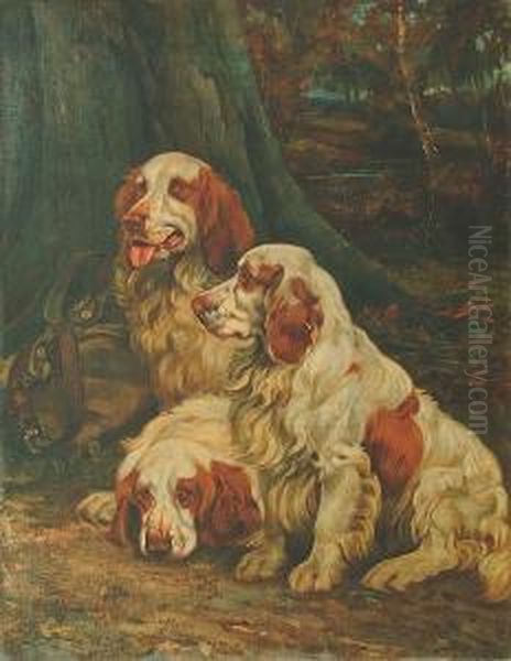 Three Clumber Spaniels Resting In A Woodland Landscape Oil Painting by Wright Barker