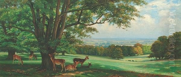 Deer At Rest In Studley Park Oil Painting by Wright Barker