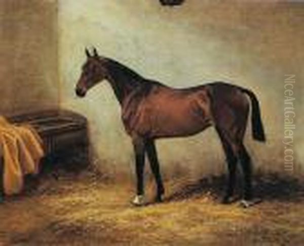 Norah Ii In A Stable Oil Painting by Wright Barker