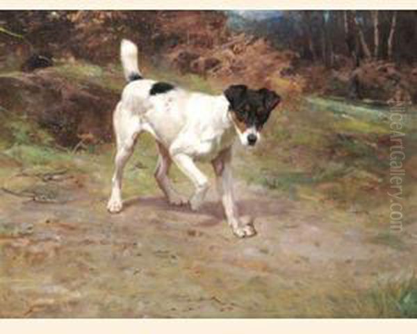 A Smooth Fox Terrier At The Edge Of A Wood Oil Painting by Wright Barker