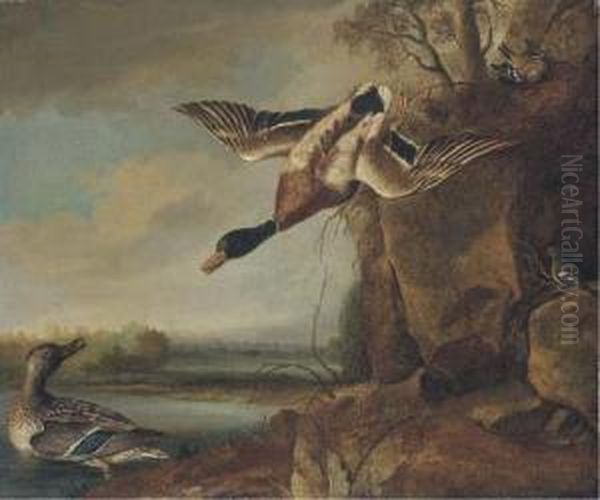 Mallard And Chaffinches In A River Landscape Oil Painting by Francis Barlow