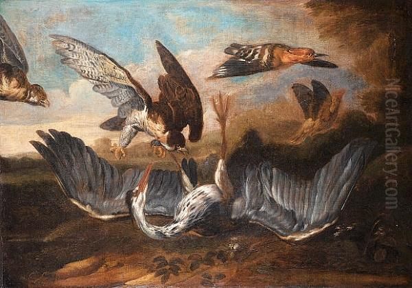 A Grey Heron Attacked By Gosshawks With A Hoopoe Flying Off Oil Painting by Francis Barlow