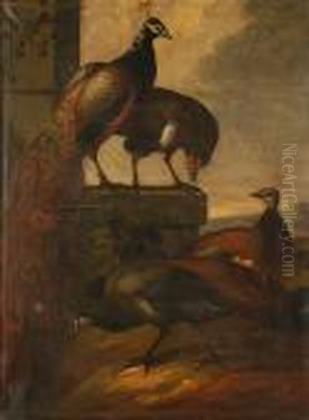 Peacocks And Peahens By A Stone Balustrade Oil Painting by Francis Barlow