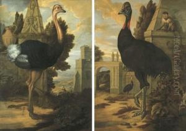 An Ostrich; And A Cassowary Oil Painting by Francis Barlow