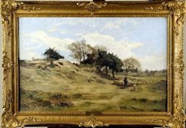 [moutons En Campine] Oil Painting by Theodore Baron