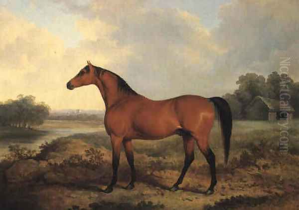 A bay stallion in a river landscape 1827 Oil Painting by James Barenger