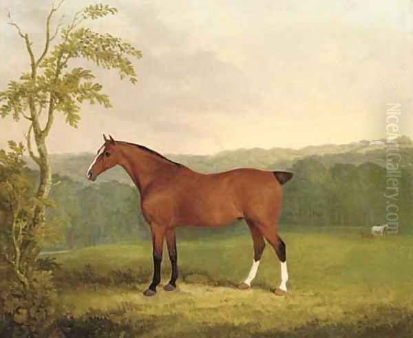 A bay carriage horse Oil Painting by James Barenger