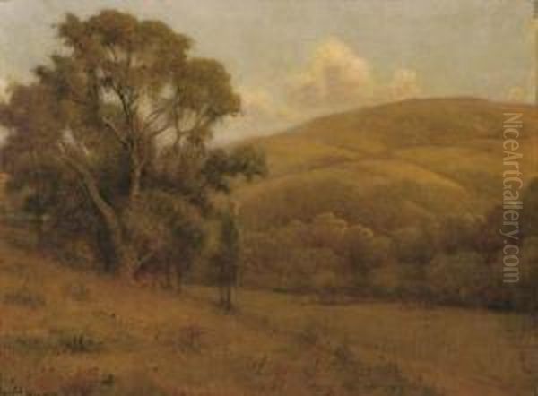 Evening Sunshine, California Oil Painting by William Barr