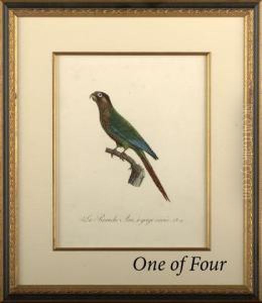 Parrots Oil Painting by Jacques Barraband