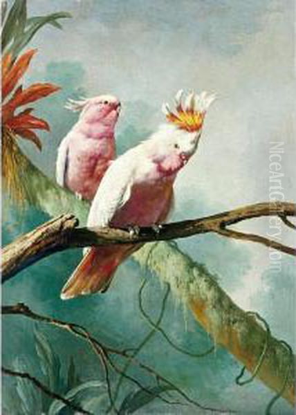 A Pair Of Leadbeaters Cockatoos Oil Painting by Jacques Barraband