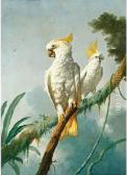 A Pair Of Sulphur-crested Cockatoos Oil Painting by Jacques Barraband