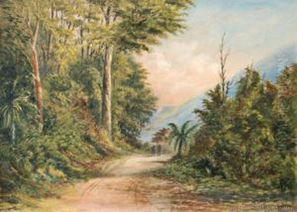 Wairarapa Bush Scene Oil Painting by Charles Decimus Barraud